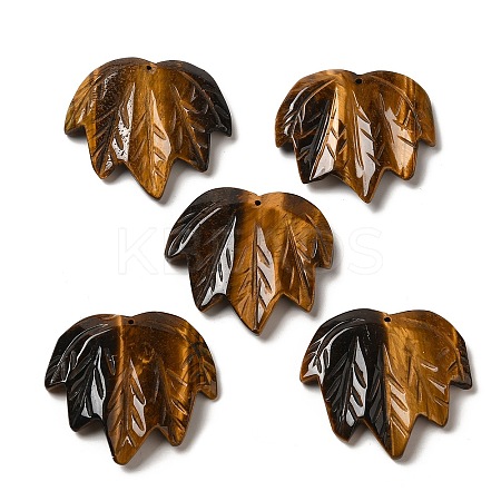 Natural Tiger Eye Carved Pendants G-K353-01J-1