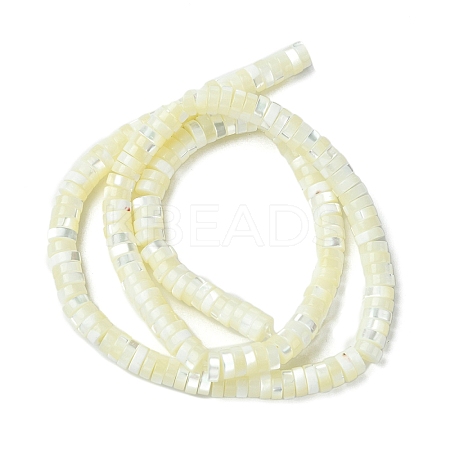1 Strand Natural Trochid Shell/Trochus Shell Beads Strands SSHEL-YW0001-12B-1