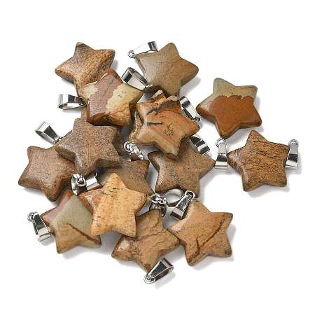 Natural Picture Jasper Pendants G-B127-12P-06-1