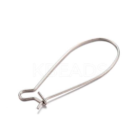 Tarnish Resistant 304 Stainless Steel Hoop Earrings STAS-D429-64-1