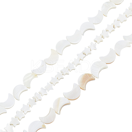 3 Strands 2 Styles Natural Freshwater Shell Beads Strands SHEL-HS0001-10-1