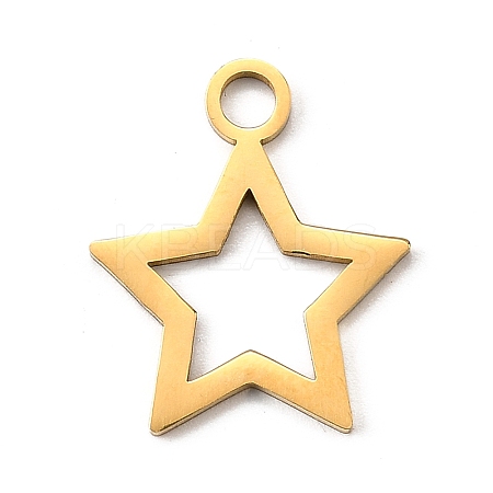 304 Stainless Steel Pendants STAS-M117-01C-G-1