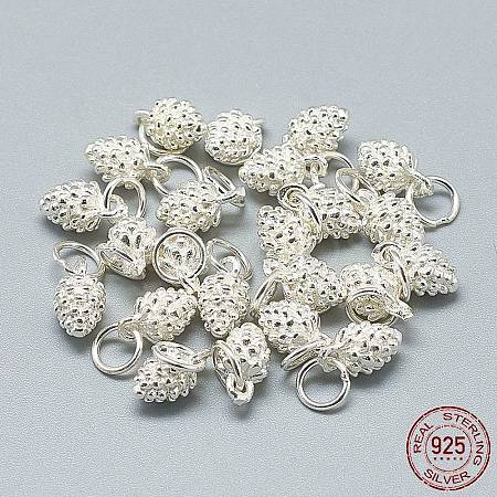 925 Sterling Silver Charms X-STER-T002-297S-1