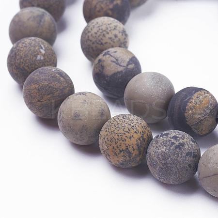 Natural Dendritic Jasper Beads Strands G-F520-47-8mm-1