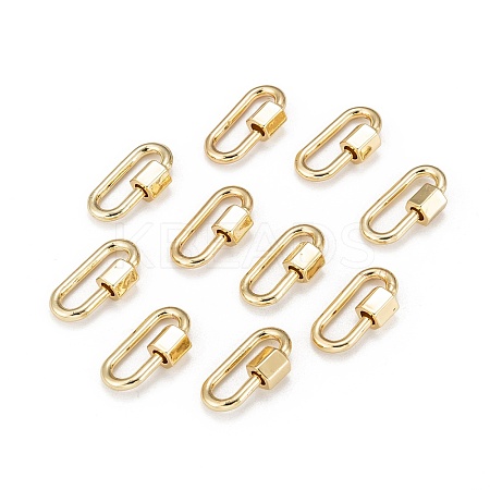 Brass Screw Carabiner Lock Charms LS-KK-T047-08G-1