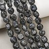 Natural Larvikite Beads Strands GG-CBA787B-A37-1