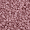 FGB Frosted Transparent Glass Seed Beads SEED-N013-02A-06-3