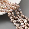 Natural Cultured Freshwater Pearl Beads Strands PEAR-A006-19A-1