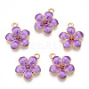 Zinc Alloy Enamel Pendants PALLOY-I124-10G-D-1