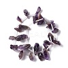 Natural Amethyst Beads Strands G-I329-02-3