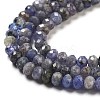 Natural Tanzanite Beads Strands X-G-G161-B14-01-4