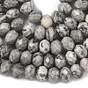 Natural Map Stone/Picasso Stone/Picasso Jasper Bead Strands G-D344-A18-5