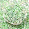 Glass Seed Beads SEED-K009-02B-20-2