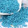 Cylinder Seed Beads SEED-H001-H10-1