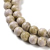 Natural Rainbow Alashan Agate Beads Strands G-NH0022-A02-01-4
