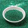 MIYUKI Round Rocailles Beads SEED-X0056-RR0354-2