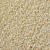 MIYUKI Round Rocailles Beads SEED-JP0009-RR0577-3