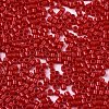 FGB 11/0 Grade A Glass Seed Beads X-SEED-S030-1016-2