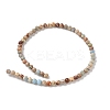 Dyed Natural Regalite/Imperial Jasper/Sea Sediment Jasper Beads Strands G-B124-C05-04-4