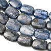 Natural Kyanite Beads Strands G-H335-I01-12x16mm-4