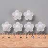 Transparent Acrylic Beads LS-TACR-S152-09C-06-4