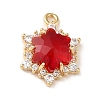 Brass with Cubic Zirconia Pendants LS-KK-G499-15G-04-1