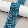Natural Apatite Beads Strands X-G-E411-36-3mm-01-1