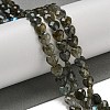 Natural Labradorite Beads Strands G-P544-E01-01-2