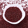 MIYUKI Delica Beads SEED-J020-DB0603-2