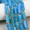 Natural Apatite Beads Strands G-D353-A23-1
