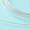 Half Hard 925 Sterling Silver Wire STER-NH001-B-2