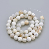 Natural Fire Crackle Agate Beads Strands G-S249-09-8mm-2