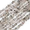 Natural Black Strawberry Quartz Chip Beads Strands G-B160-A03-2