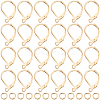 30Pcs 304 Stainless Steel Leverback Earring Findings STAS-BBC0009-22-1