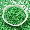 Baking Paint Glass Seed Beads SEED-S042-05A-28-2