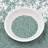 MIYUKI Delica Beads X-SEED-J020-DB2313-2