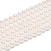 Baking Paint Pearlized Glass Pearl Bead Strands HY-N002-3mm-A11-3