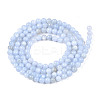 Natural Freshwater Shell Beads Strands X-BSHE-T009A-01F-2
