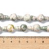Natural Green Line Jasper 3-Hole Guru Bead Strands G-K149-41-4