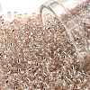 TOHO Round Seed Beads SEED-JPTR11-0031-1
