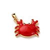 Brass Enamel Pendants LS-KK-K305-04G-2