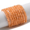 Natural Freshwater Shell Beads Strands SHEL-P017-01B-05-1
