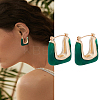 1 Pair Alloy with Resin Hoop Earrings for Women EJEW-LP0004-71A-1