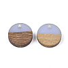 Resin & Walnut Wood Pendants RESI-S358-02E-09-2