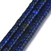 Natural Lapis Lazuli Bead Strands G-Z006-C13-1