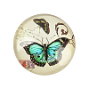 Butterfly Printed Glass Half Round/Dome Cabochons X-GGLA-N004-12mm-C-2