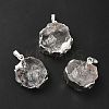 Natural Quartz Crystal Pendants G-P487-03P-1