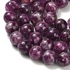 Natural Lepidolite Beads Strands G-L634-B01-10mm-4