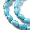 Natural Howlite Beads Strands G-H025-02B-4