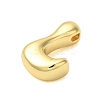 Rack Plating Brass Pendants KK-C067-10G-L-2
